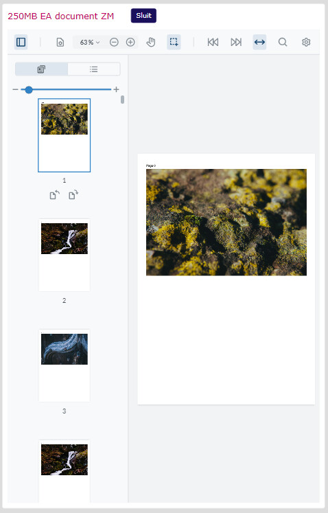 ThumbnailPanel is sized to 100% width of WebViewer width when WebViewer ...